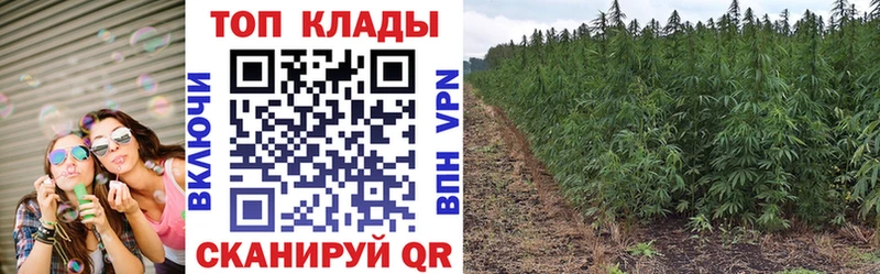 Продажа наркотиков Ульяновск Cocaine  АМФЕТАМИН  Марихуана  A PVP 