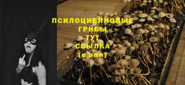 ПСИЛОЦИБИНОВЫЕ ГРИБЫ Заволжск